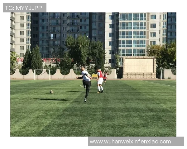 深入分析北京足球队的运营策略与发展模式探讨